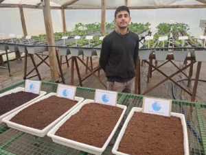 Investigan cómo reemplazar la turba por insumos locales para reducir costos en la horticultura