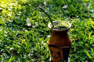 Lo que la crisis brasileña de la yerba mate me hace pensar sobre el mercado argentino