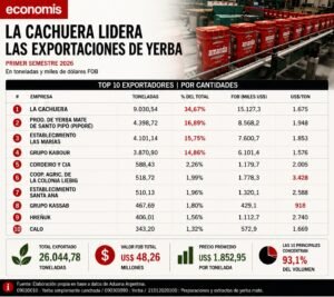 Misiones arrasa en la exportación de yerba: concentra al menos 72,6% y La Cachuera lidera el negocio