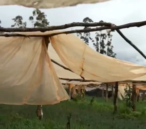 La prevención es clave para reducir el impacto del fenómeno de El Niño en las chacras