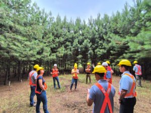 Bosques, carbono y energía: el mapa productivo que AFoA mostrará en Misiones y Corrientes