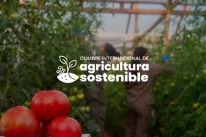Llevar el agro al futuro: Misiones prepara la segunda cumbre internacional de Agricultura Sostenible