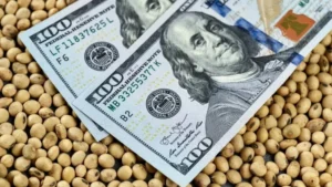 Retenciones al agro: las seis principales cadenas aportarían US$ 4.613 millones al fisco en 2026