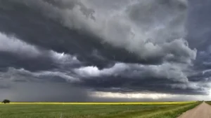 El Niño entra en el radar productivo, lanzan AgroENSO para anticipar su impacto en los cultivos