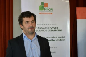 Forestación en Corrientes: por qué corre peligro la ampliación del aserradero más moderno del país