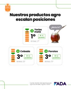 Argentina se sostiene en la cima mundial de las exportaciones de yerba mate