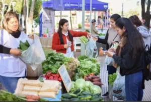 A 31 años de la primera Feria Franca, Misiones mide el pulso de la agricultura familiar