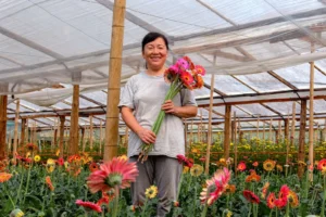 Eldorado forma nuevos oficios para ampliar la cadena productiva de la floricultura en Misiones