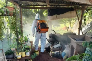 Misiones refuerza la vigilancia del Aedes aegypti y monitorea sus tres etapas