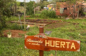 Huertas escolares: Escuelas fortalecen la enseñanza agrícola y el vínculo con la tierra