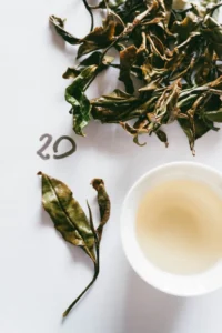 El té del INTA Cerro Azul suma cinco reconocimientos y apunta al segmento gourmet