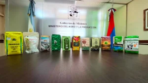 Misiones financia el salto productivo de 11 pequeñas marcas de yerba mate