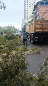 Despejan más de ochenta árboles y ramas caídas tras el temporal del sábado en Posadas