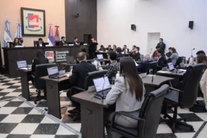 Posadas regula el traslado de mascotas en colectivos y fija nuevas condiciones para viajar con perros y gatos