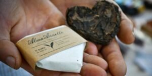 Del té commodity al valor agregado: un productor misionero logró la primera certificación agroecológica del país