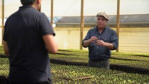 Víctor Navajas: “La yerba tiene que jugar en las grandes ligas, ya no es competir con el café, sino con Coca-Cola y Red Bull”