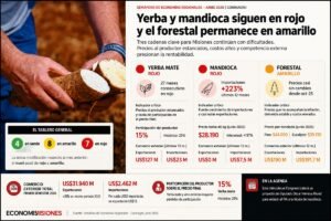 Yerba y mandioca siguen en rojo: dos economías regionales de Misiones no logran salir de la zona crítica