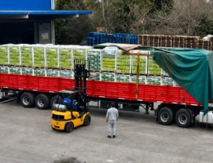 Yerba misionera concretó su primera venta a una cadena nacional de supermercados