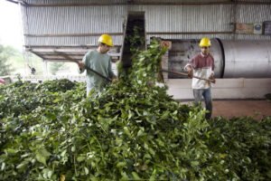 Misiones encabeza la lista de las provincias con mayor número de prestaciones por desempleo del Renatre