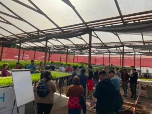 Eldorado: investigación y extensión dentro del invernáculo
