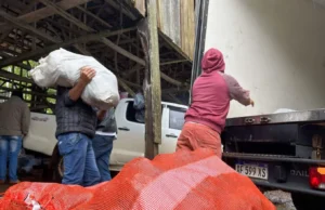 Misiones Produce busca convertir la producción de las chacras en ingresos durante todo el año