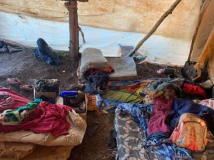 Intervención en Colonia Esmeralda expuso las condiciones de los campamentos tareferos