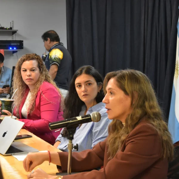 Reforma penal en Misiones: el debate entra en la etapa de cómo aplicar el nuevo sistema