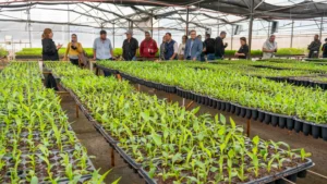 Contar el agro: el desafío de un periodismo que se especializa y mira al territorio