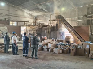 Destruyeron más de 205.500 atados de cigarrillos en Santiago de Liniers