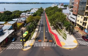Posadas recibe a la red global que evalúa el cuidado de los árboles urbanos