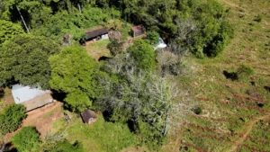 Misiones incorporó Sintrópolis, en Alba Posse, como reserva privada
