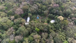 Posadas pone al bosque urbano en el centro del debate sobre ciudades más resilientes