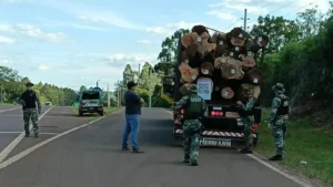 Misiones refuerza los controles sobre el traslado de madera nativa