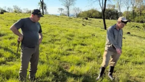 Refuerzan la prevención ante reportes de grandes felinos en el sur de Misiones