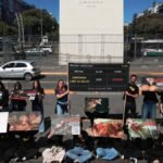 Crece en Argentina el reclamo para que una aerolínea deje de usar huevos de gallinas enjauladas