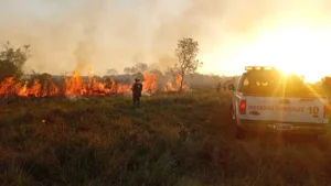 Incendio en Campo San Juan: brigadistas y un avión hidrante combaten el fuego