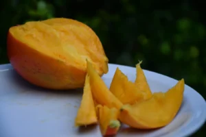 ¿Cómo evitar que el fin de año te agarre sin un mango?