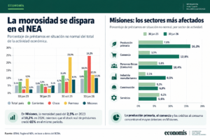 La mora se dispara en Misiones: los créditos en problemas se duplicaron en un año y golpean al agro y al comercio