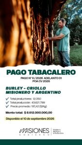 El Gobierno de Misiones anuncia un nuevo pago para productores y productoras tabacaleras