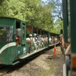 Latinrieles reúne en Iguazú a referentes de la industria ferroviaria