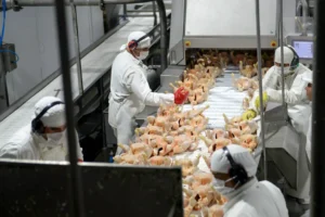 Granja Tres Arroyos pidió el concurso de acreedores y profundiza su crisis financiera
