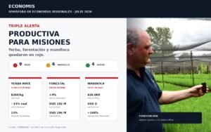 Yerba, forestación y mandioca en rojo: triple alerta para la economía productiva de Misiones