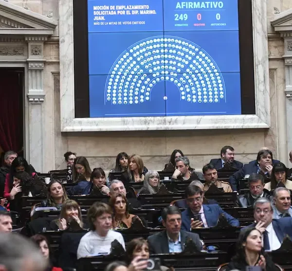 Diputados: ocho bloques pidieron una sesión para debatir el DNU 70, deudas y discapacidad